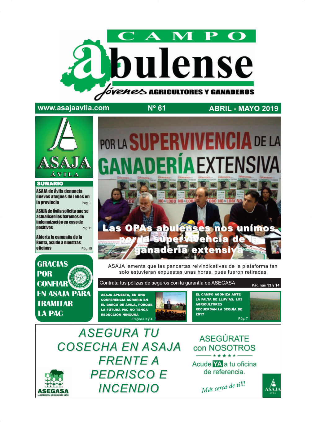 Campo Abulense Nº61