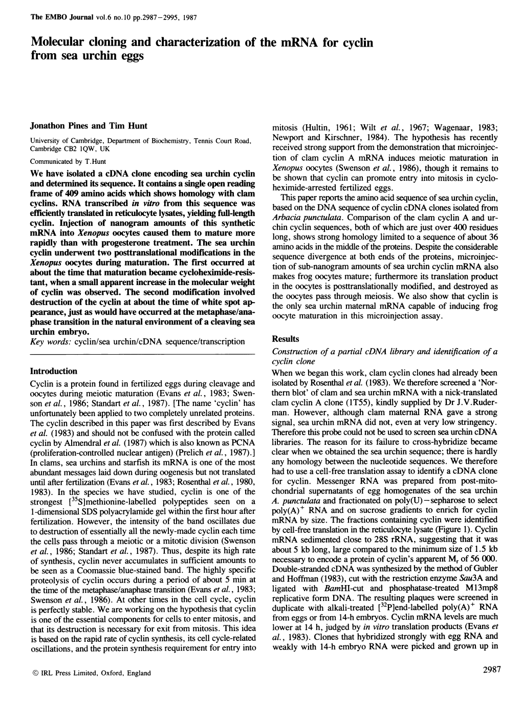 Molecular Cloning and Characterization of the Mrna for Cyclin from Sea Urchin Eggs