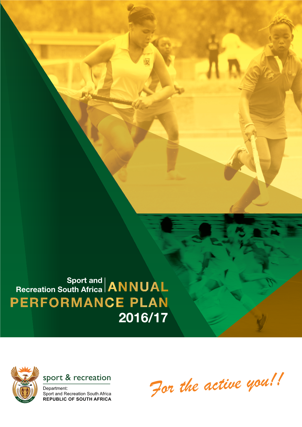 2016 / 2017 Annual Performance Plan (APP)