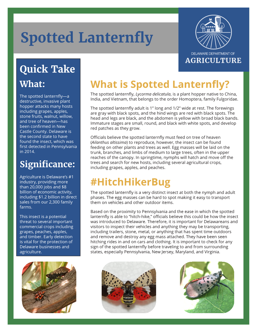 Delaware Homeowner Spotted Lanternfly and Treatment Fact Sheet