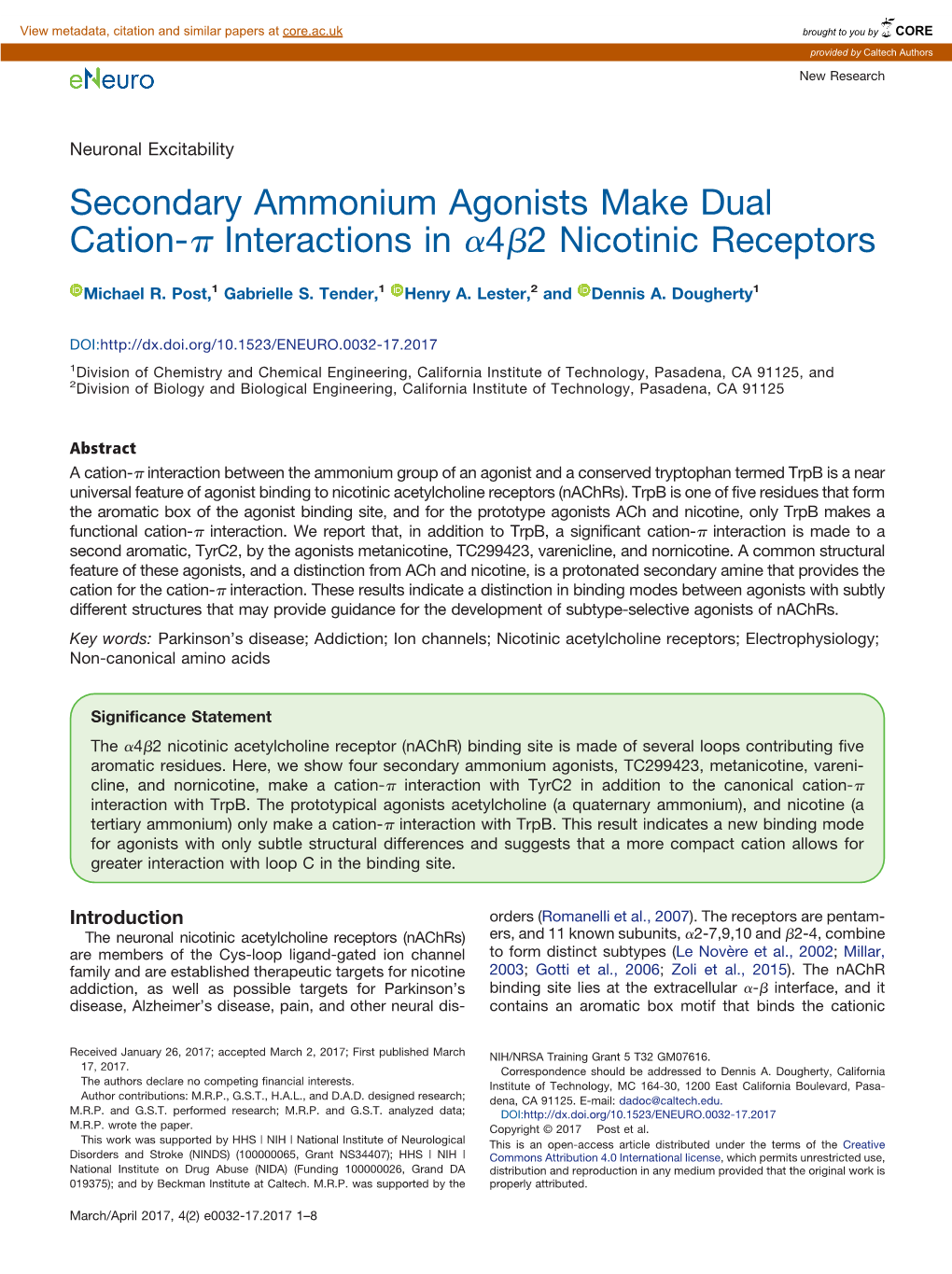 Secondary Ammonium Agonists Make Dual Cation-Π Interactions in Α4ß2