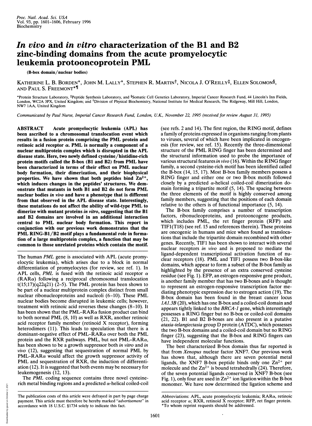 In Vivo and in Vitro Characterization of the Bi and B2