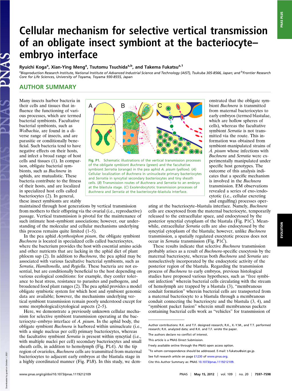 Cellular Mechanism for Selective Vertical Transmission of An