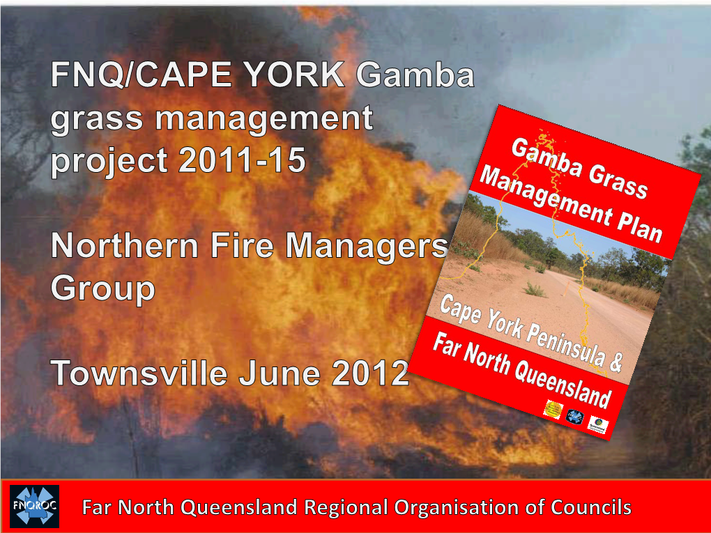 Gamba Grass Management Plan Cape York Peninsula / Far North Queensland Draft for Consultation