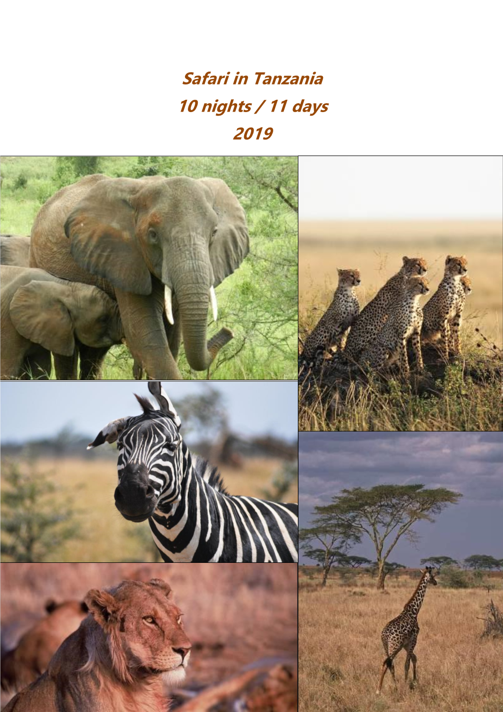 Safari in Tanzania 10 Nights / 11 Days 2019