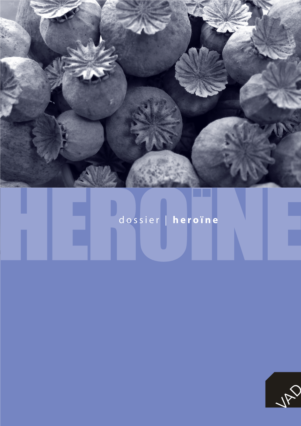 Dossier | Heroïneïne