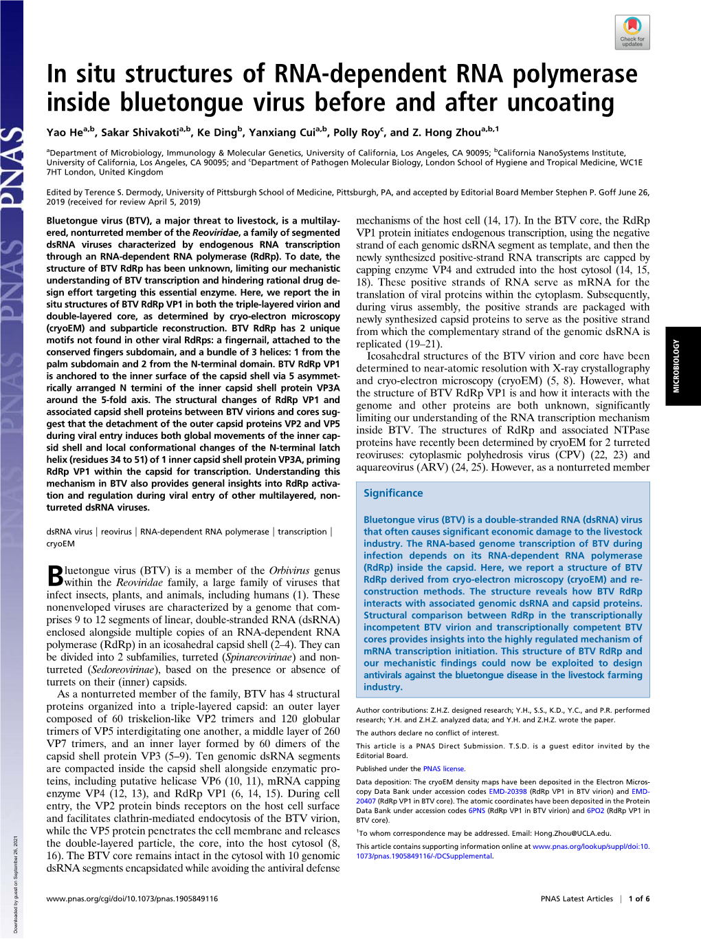 In Situ Structures of RNA-Dependent RNA Polymerase Inside Bluetongue Virus Before and After Uncoating