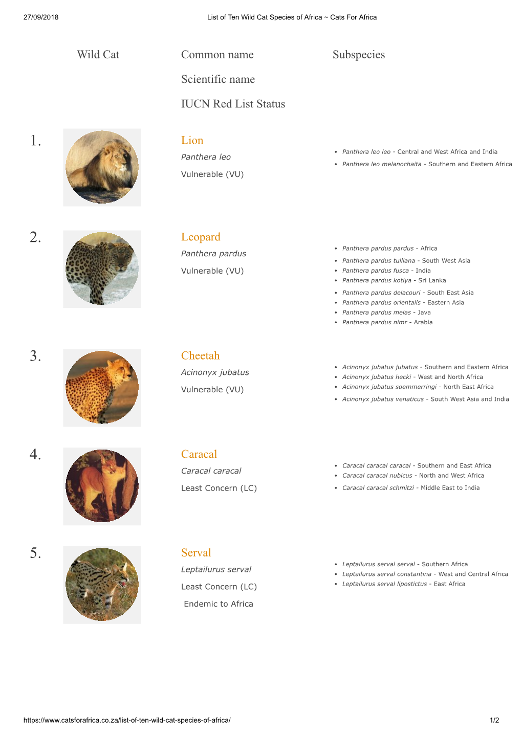 List of Ten Wild Cat Species of Africa.Pdf