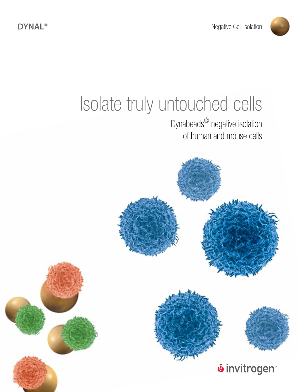 Isolate Truly Untouched Cells Dynabeads® Negative Isolation of Human and Mouse Cells Negative Cell Isolation