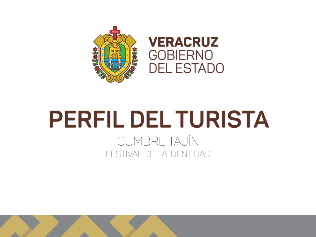 Perfil Del Turista Cumbre Tajín Festival De La Identidad Objetivos Principales