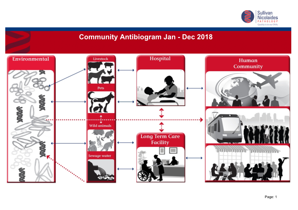 Community Antibiogram Jan - Dec 2018