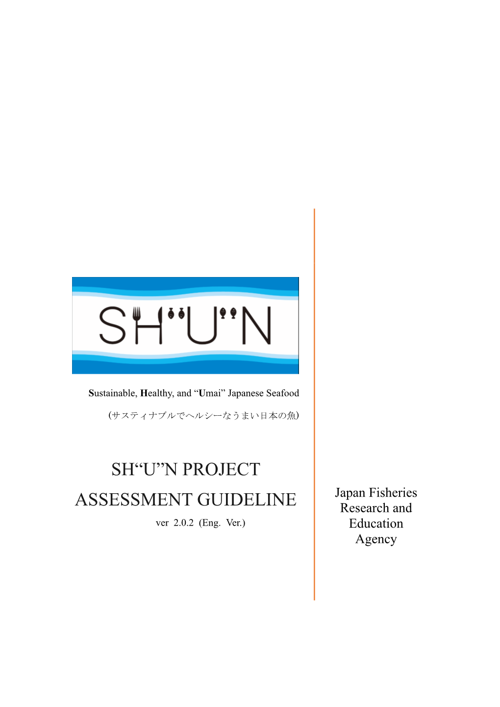 N Project Assessment Guideline