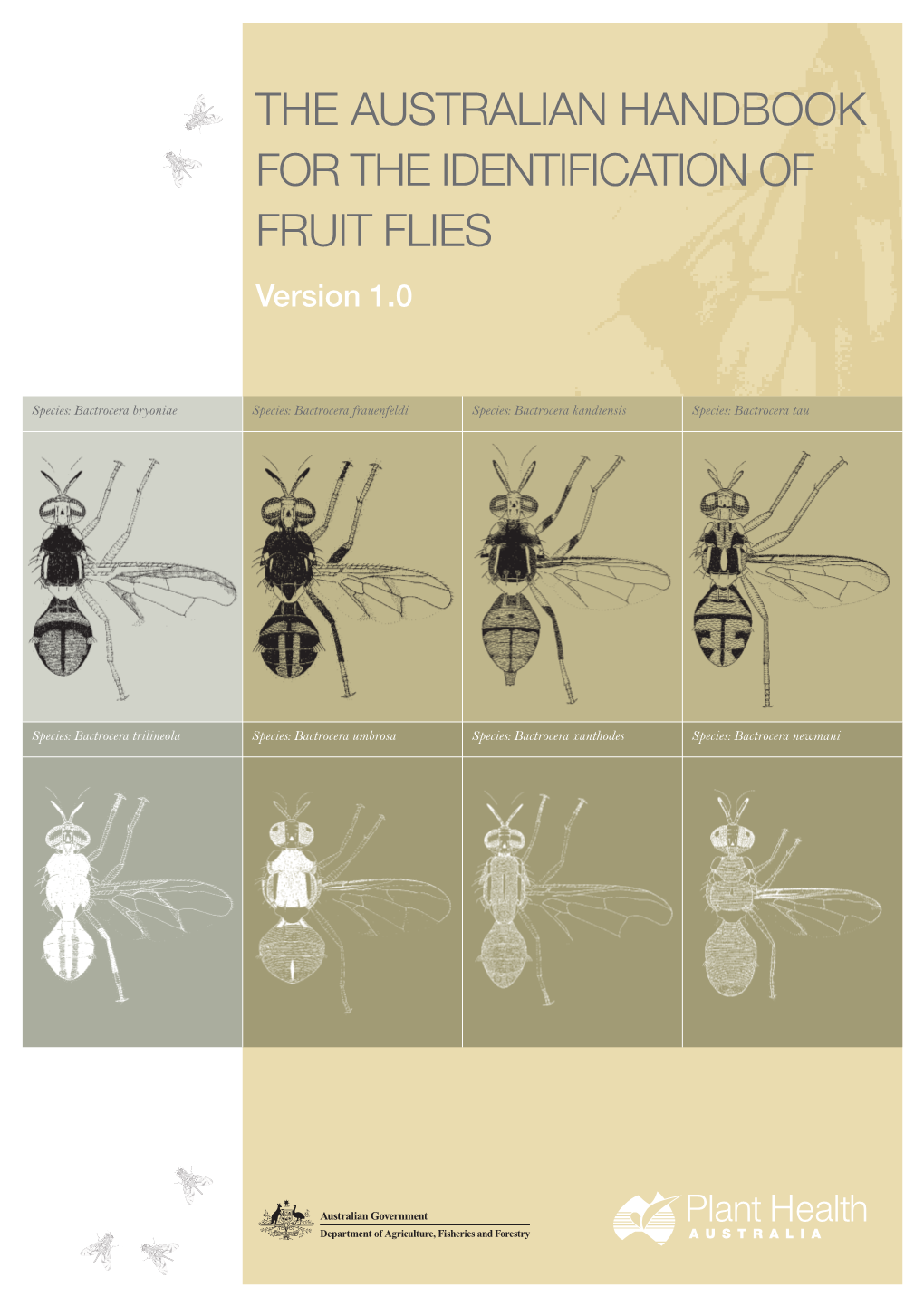 THE AUSTRALIAN HANDBOOK for the IDENTIFICATION of FRUIT FLIES Version 1.0