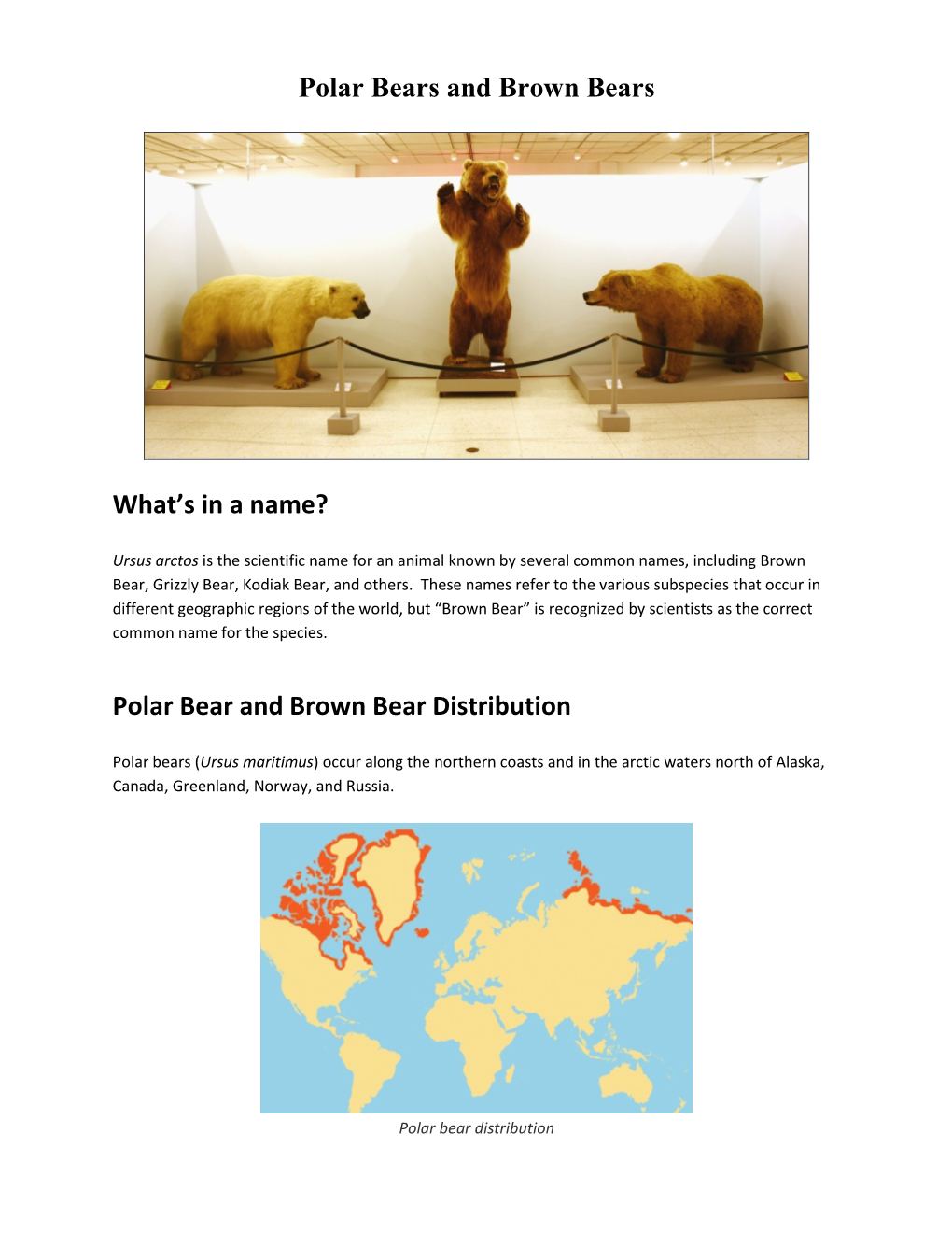 Polar Bear and Brown Bear Distribution