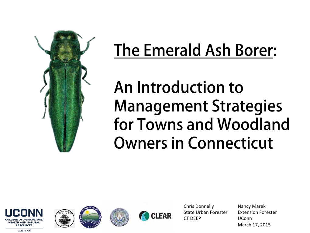 The Emerald Ash Borer