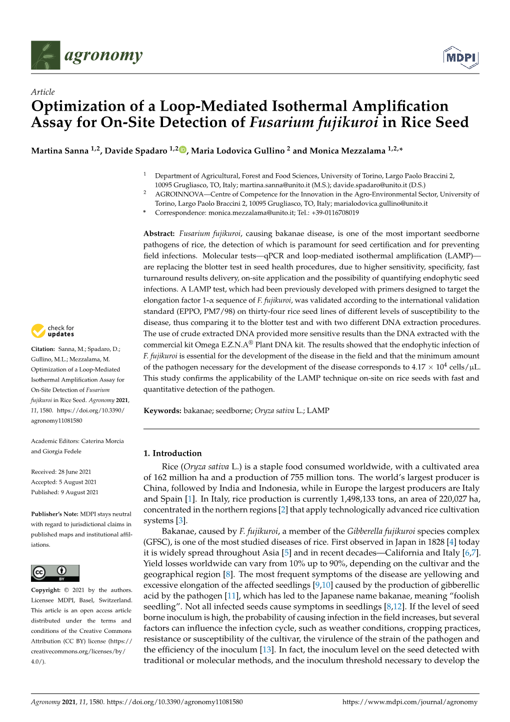 Optimization of a Loop-Mediated Isothermal Amplification Assay For