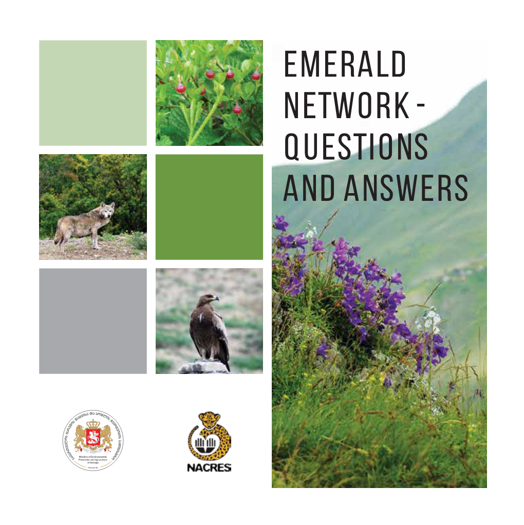Emerald Network - Questions and Answers