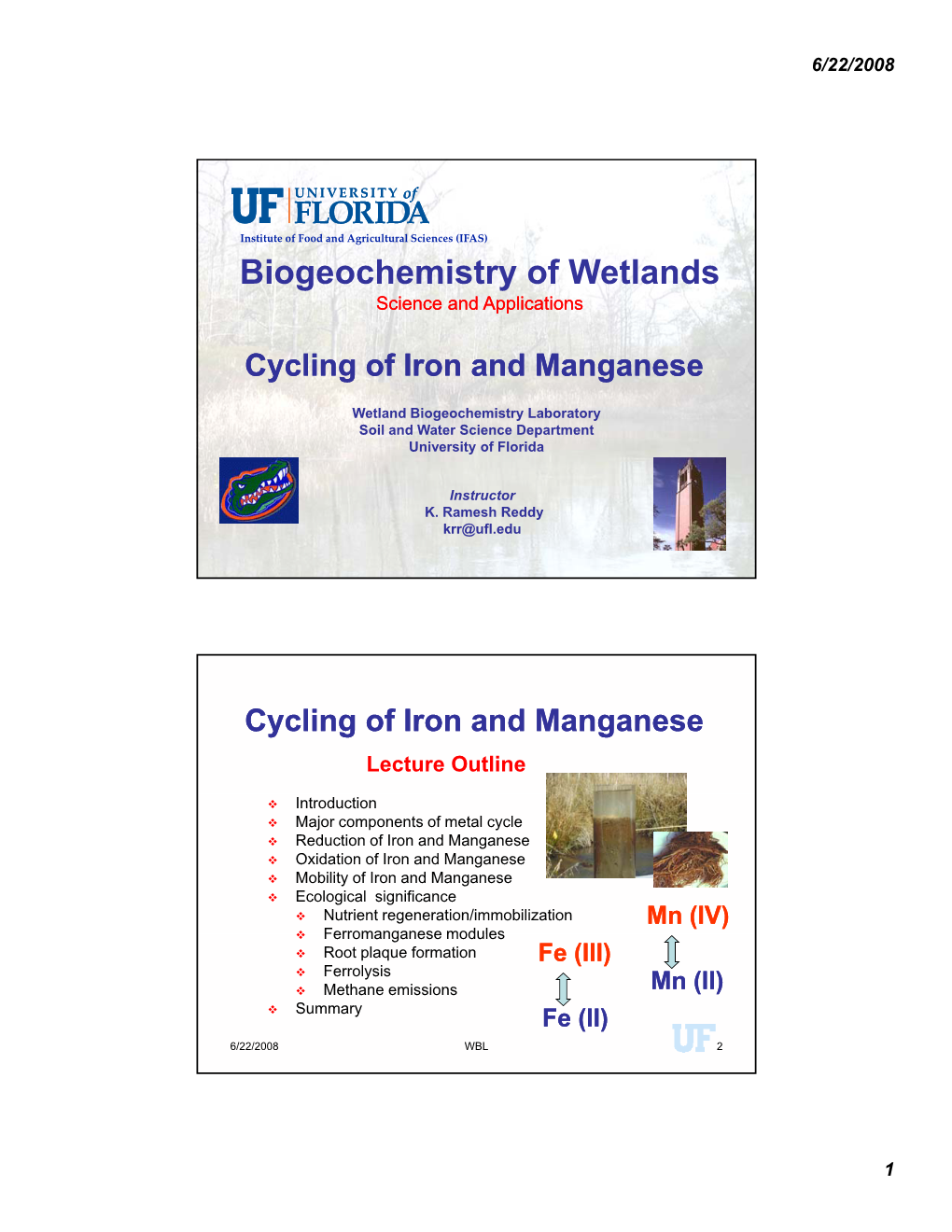 Iron and Manganese