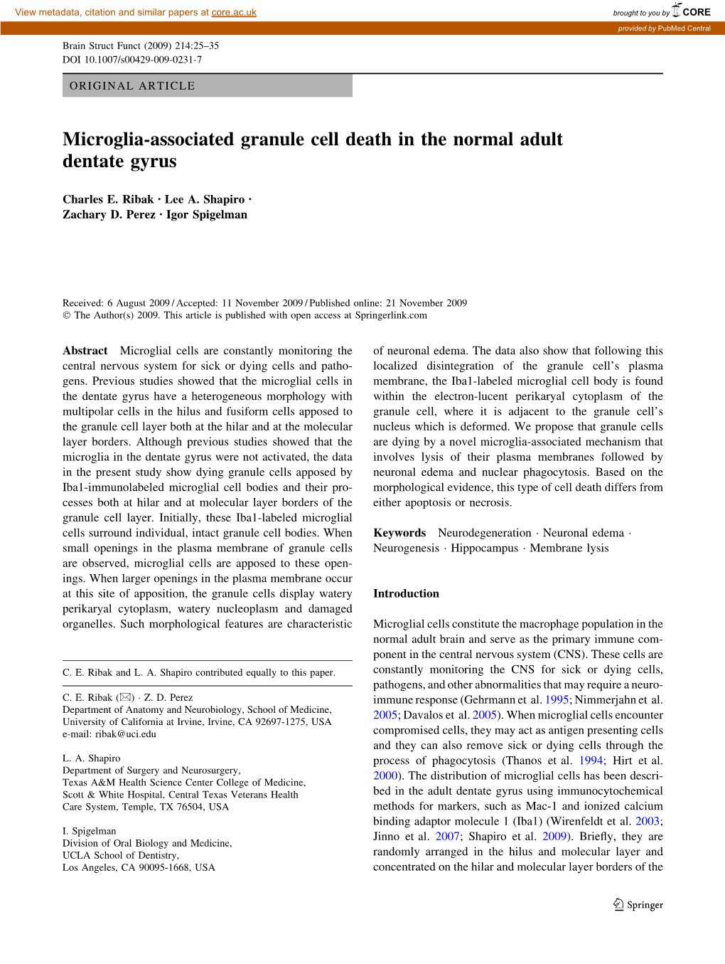 Microglia-Associated Granule Cell Death in the Normal Adult Dentate Gyrus