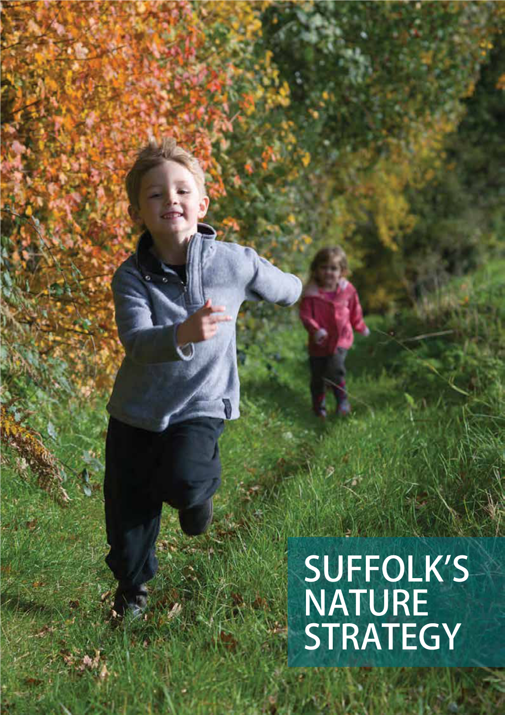 Suffolk's Nature Strategy 2015