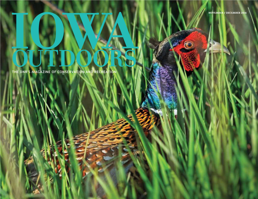 The Dnr's Magazine of Conservation and Recreation