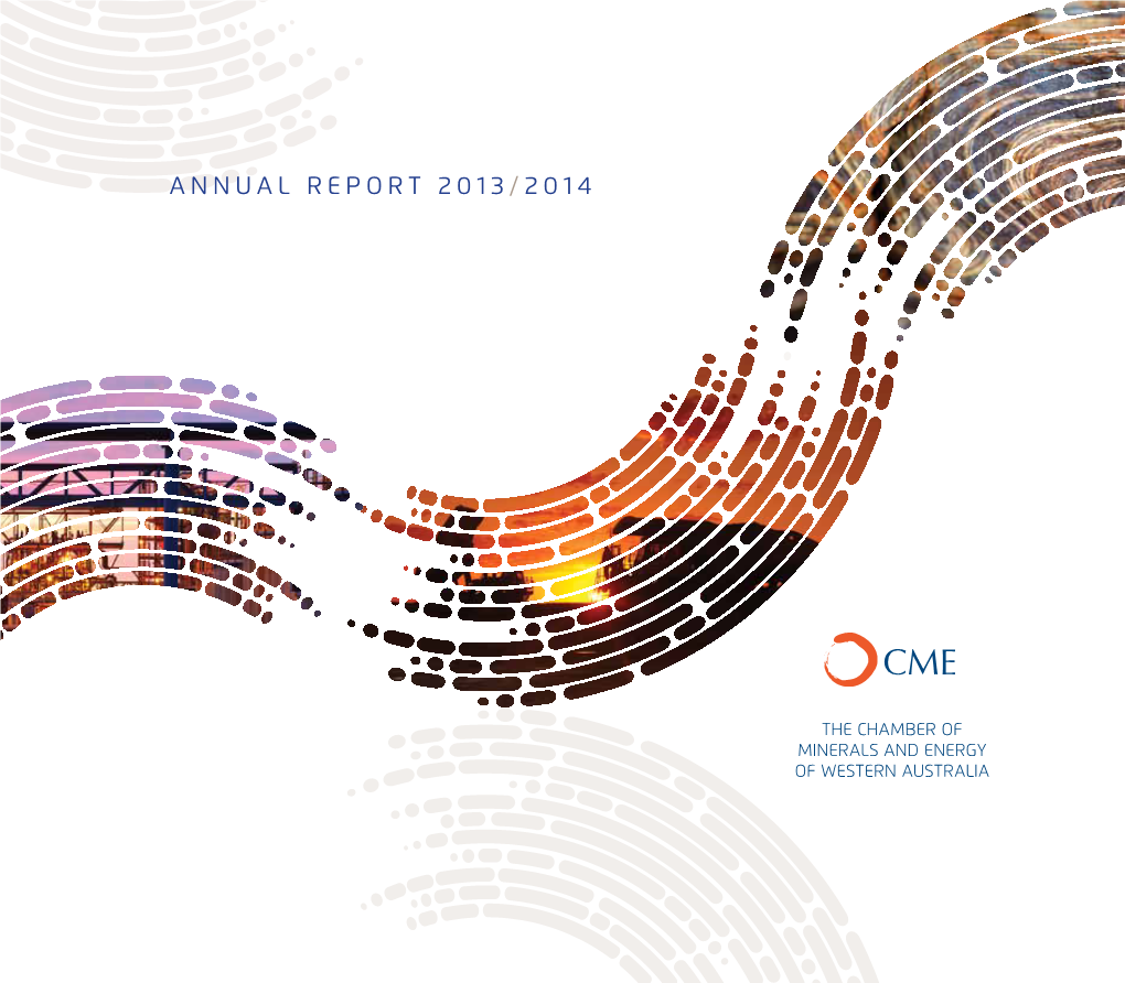 Annual Report 2013 / 2014