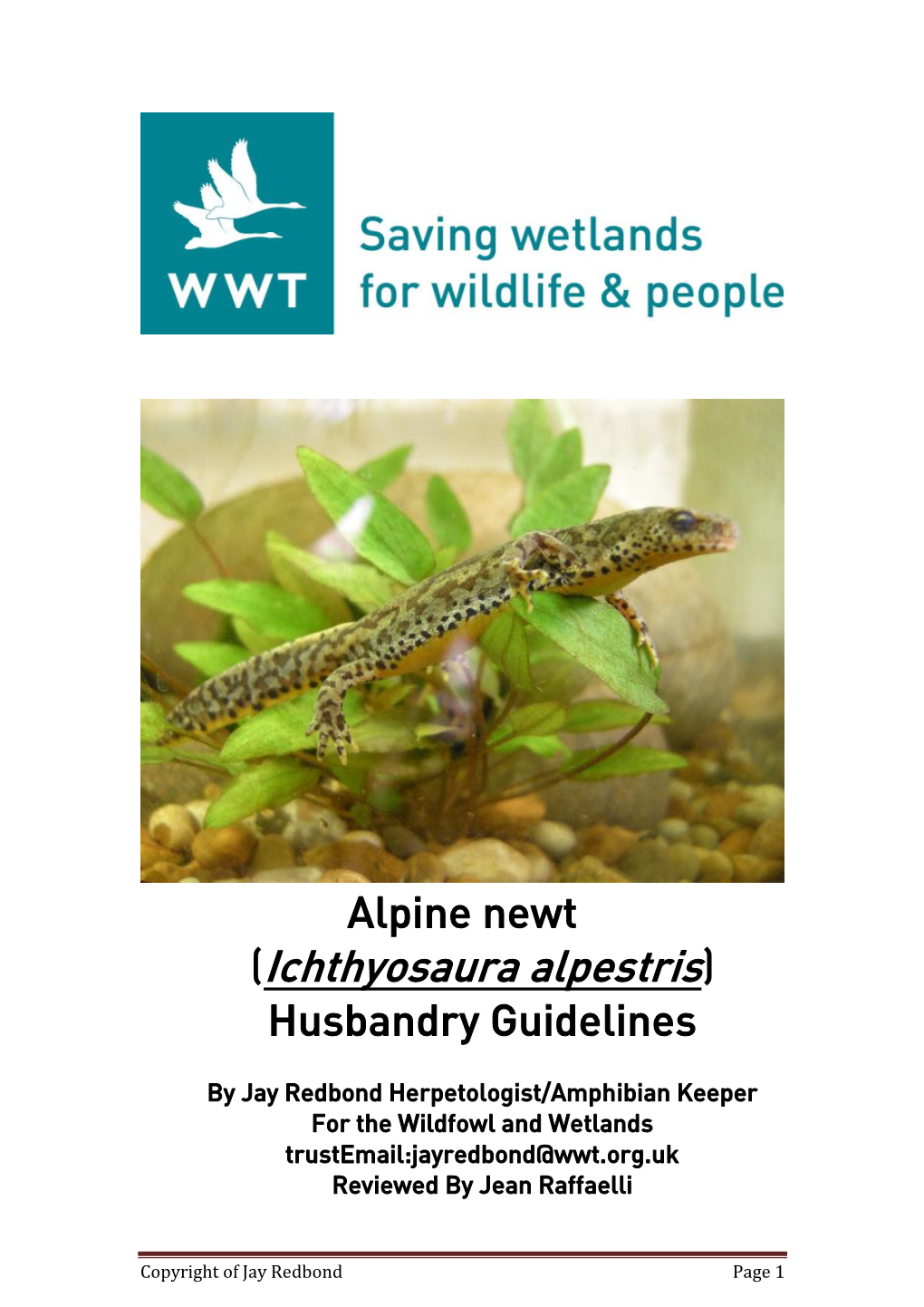 (Ichthyosaura Alpestris) Husbandry Guidelines