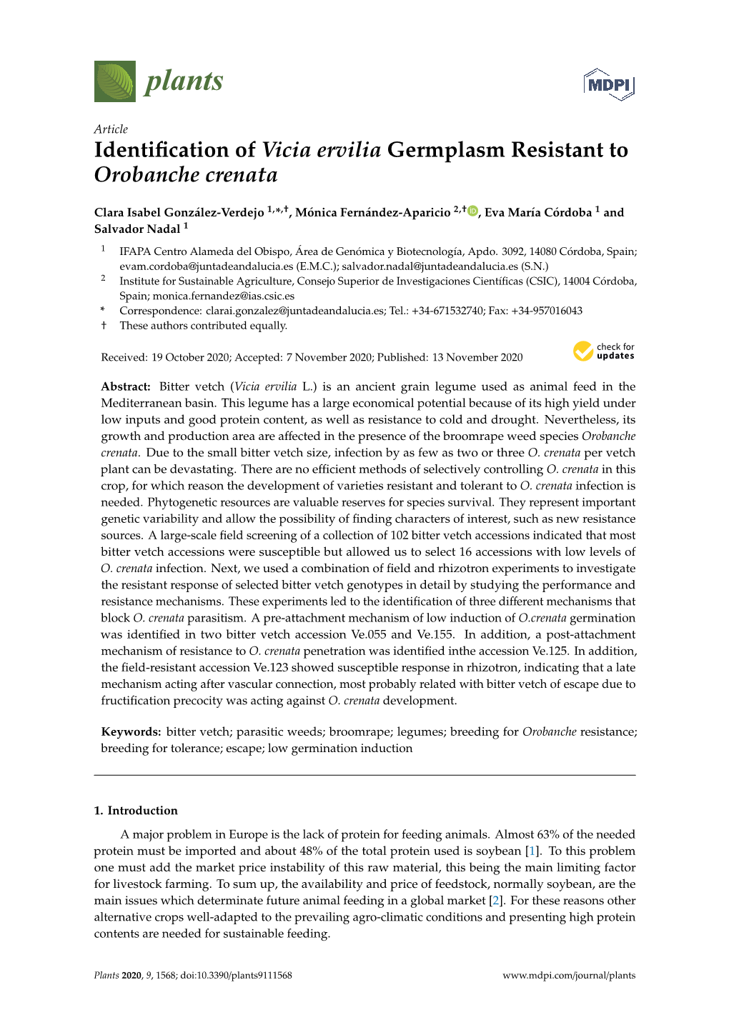 Identification of Vicia Ervilia Germplasm Resistant to Orobanche