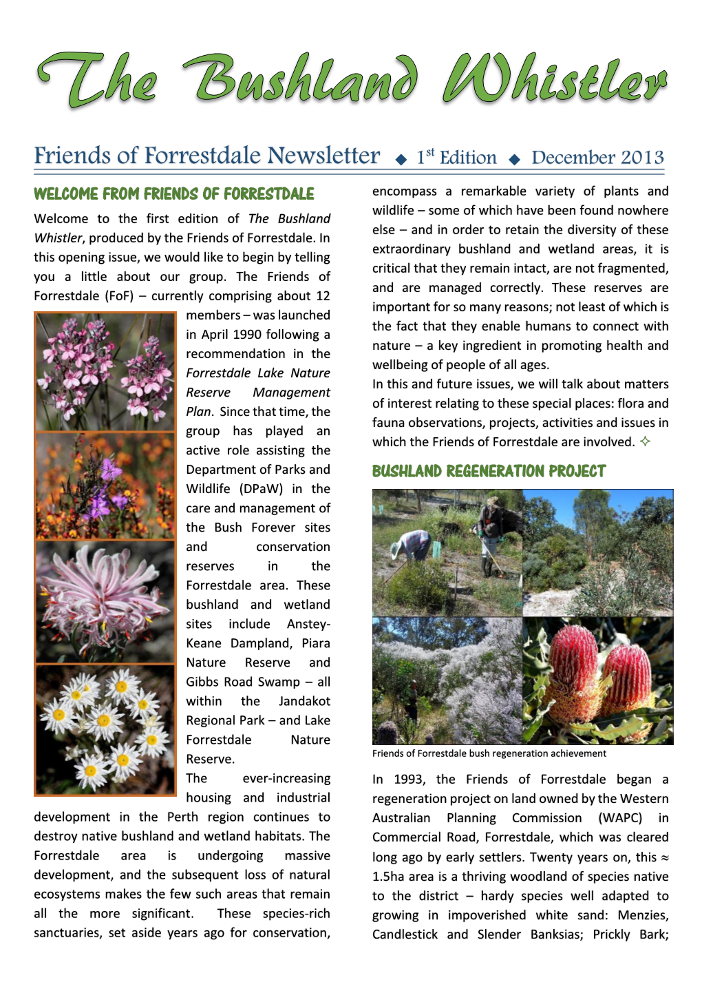 Friends of Forrestdale Newsletter 1St Edition December 2013