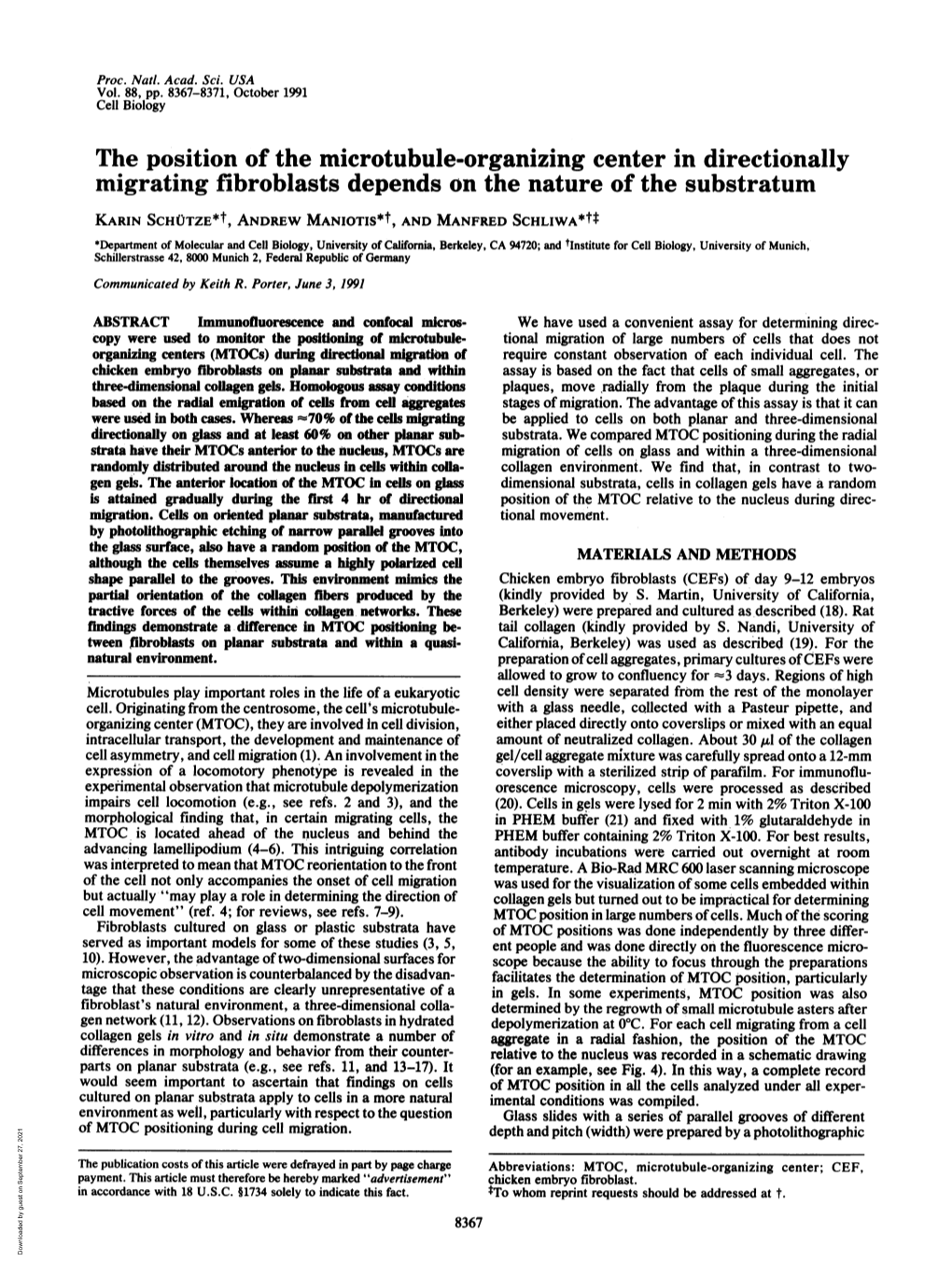 The Position of the Microtubule-Organizing Center In