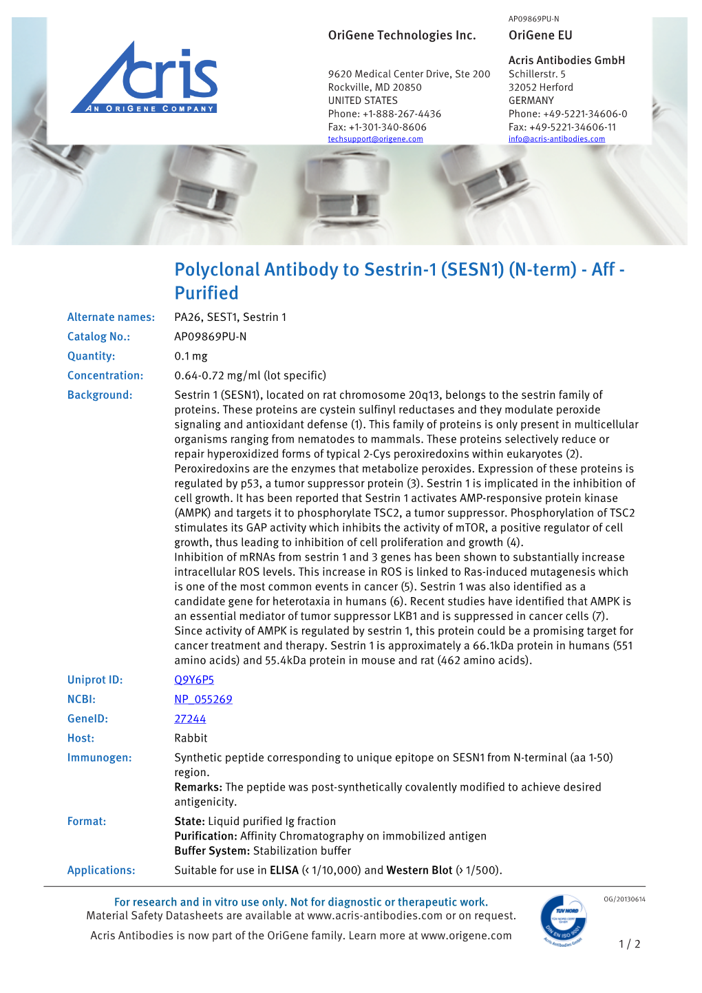 Polyclonal Antibody to Sestrin-1 (SESN1) (N-Term