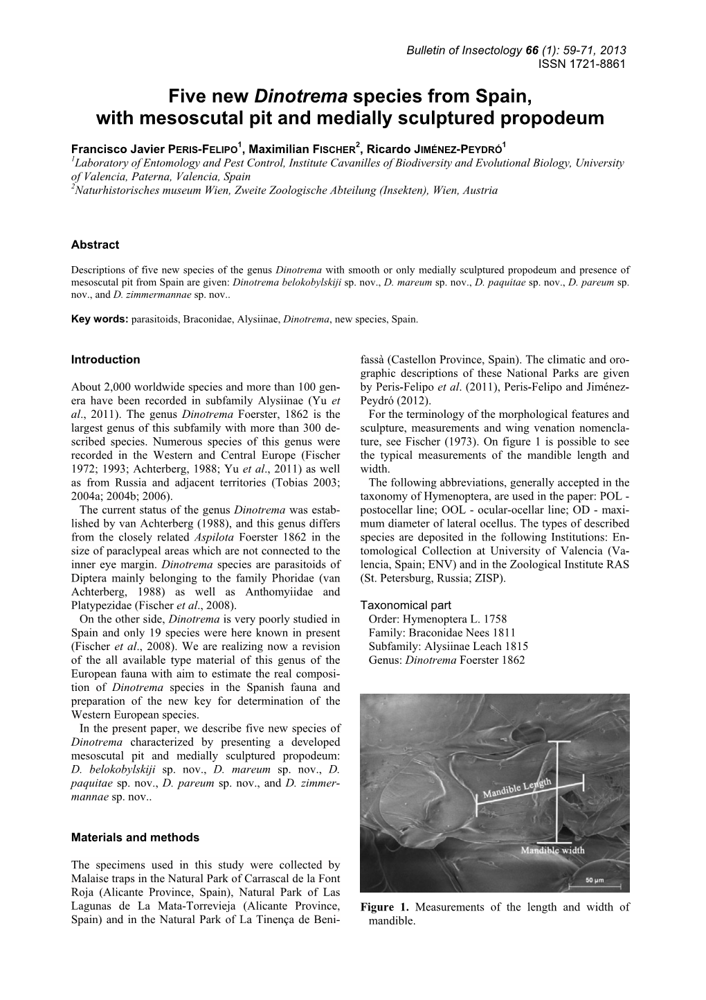 Five New Dinotrema Species from Spain, with Mesoscutal Pit and Medially Sculptured Propodeum