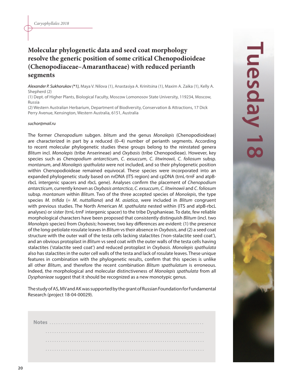 Molecular Phylogenetic Data and Seed Coat Morphology Resolve The