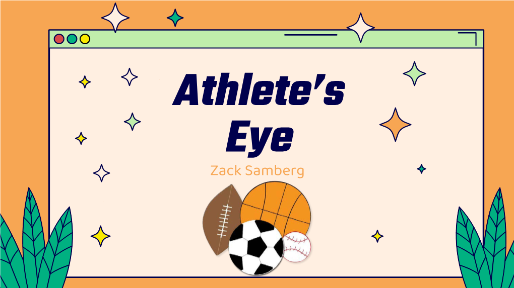 Zack Samberg 01 ABOUT US 04 the BUSINESS the Story of Athlete’S Eye the Business Model for Athlete’S Eye
