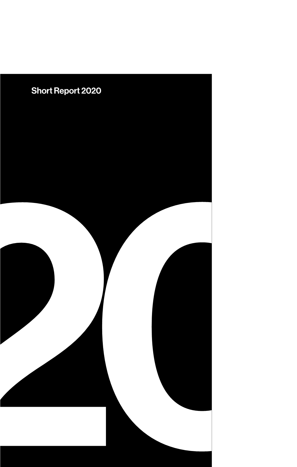 2020 Short Report