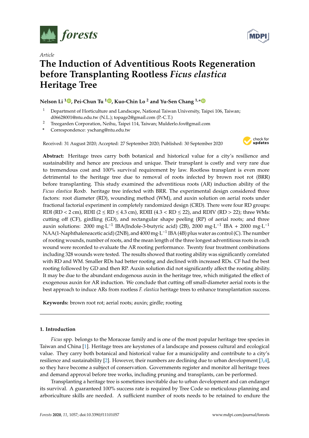 The Induction of Adventitious Roots Regeneration Before Transplanting Rootless Ficus Elastica Heritage Tree