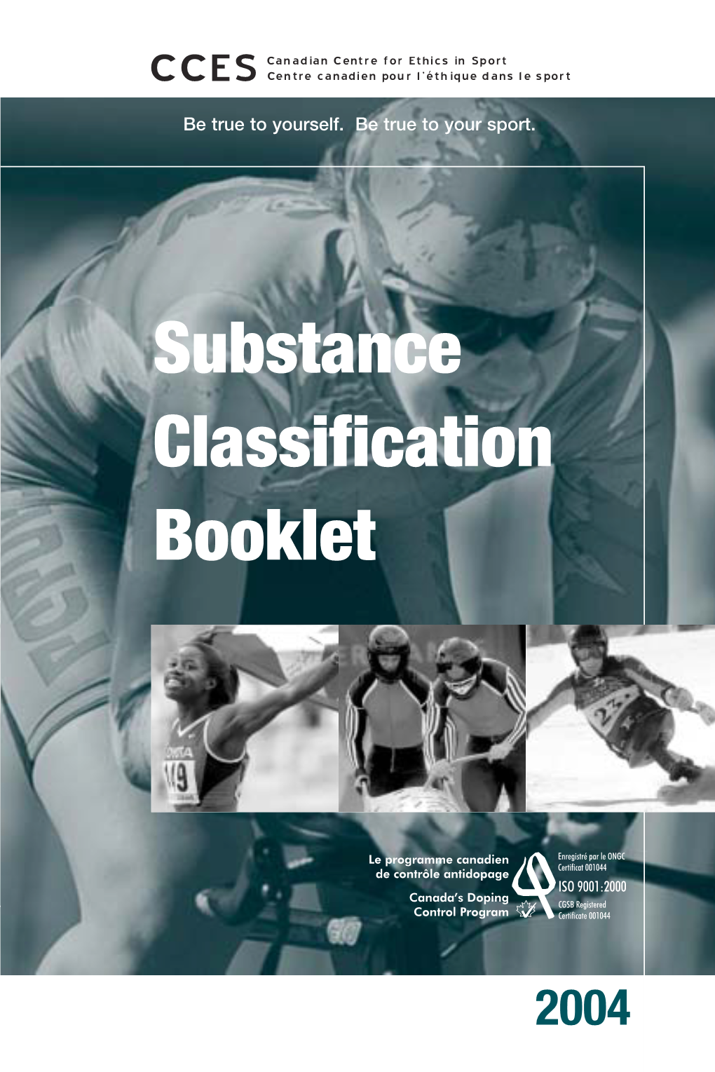 CCES Substance Classification Information