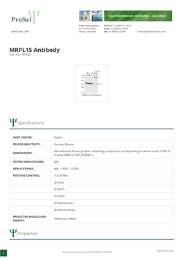 MRPL15 Antibody Cat