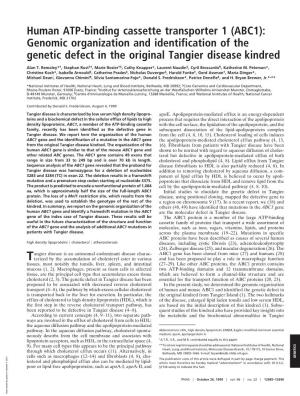 Genomic Organization and Identification of the Genetic Defect in the Original Tangier Disease Kindred