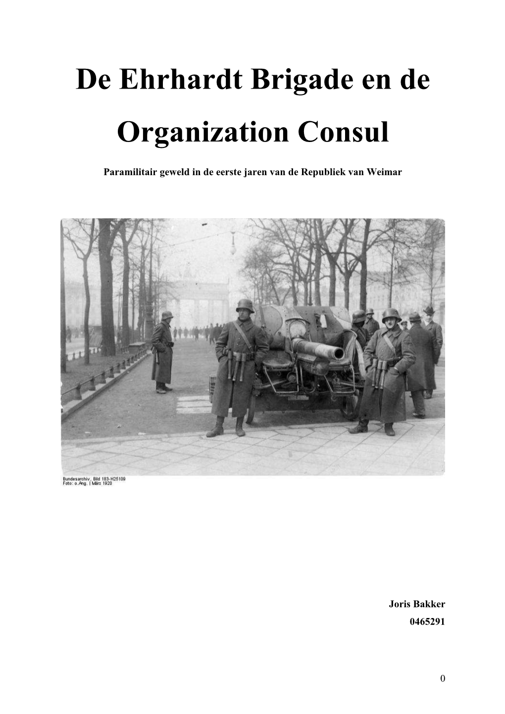 De Ehrhardt Brigade En De Organization Consul