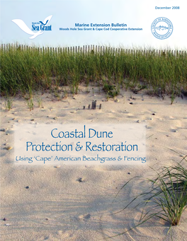 Dune Restoration: Imported Sand Or Sand Fence & Vegetation 2