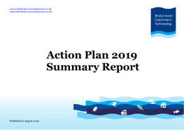 Action Plan 2019 Summary Report