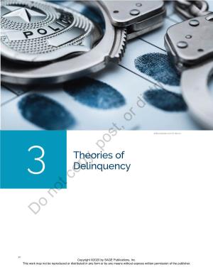 Chapter 3. Theories of Delinquency