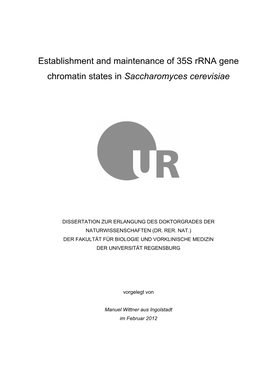 Establishment and Maintenance of 35S Rrna Gene Chromatin States in Saccharomyces Cerevisiae