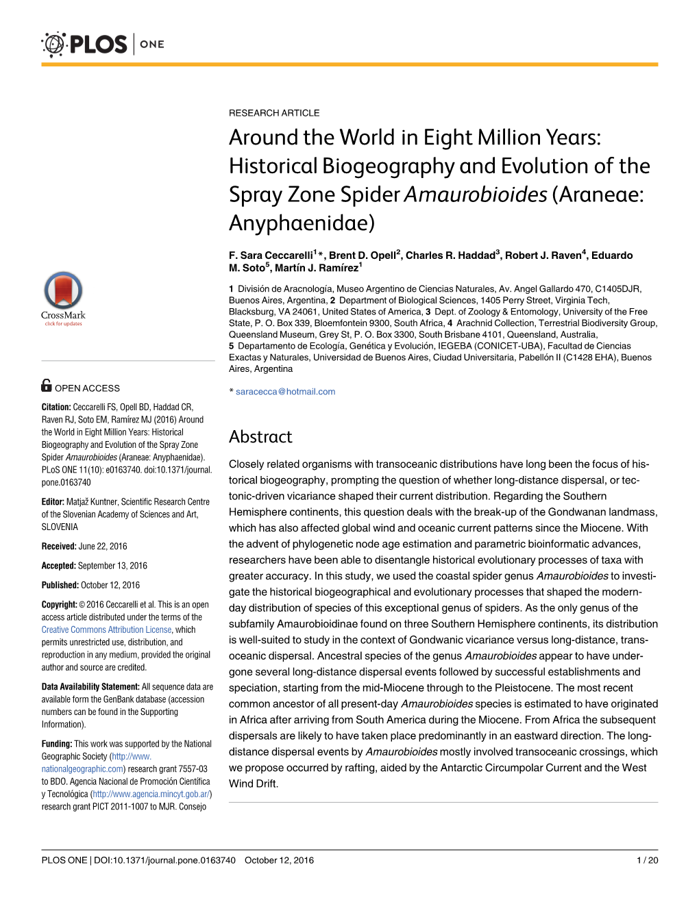 Historical Biogeography and Evolution of the Spray Zone Spider Amaurobioides (Araneae: Anyphaenidae)
