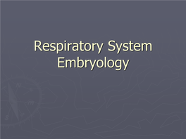 Respiratory System Embryology Development of the Nose and Palate Development of the Nose
