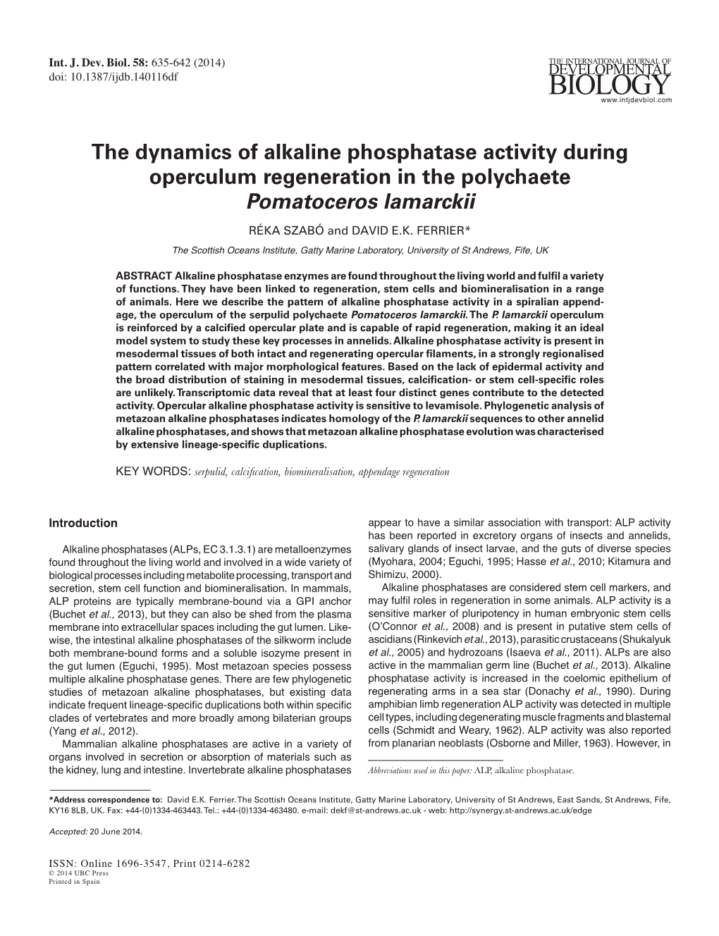 The Dynamics of Alkaline Phosphatase Activity During Operculum Regeneration in the Polychaete Pomatoceros Lamarckii RÉKA SZABÓ and DAVID E.K