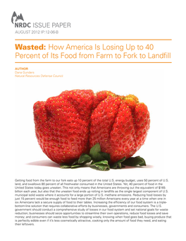 Wasted: How America Is Losing up to 40 Percent of Its Food from Farm to Fork to Landfill