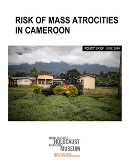 Risk of Mass Atrocities in Cameroon