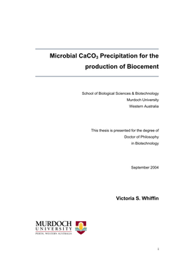 Microbial Caco3 Precipitation for the Production of Biocement